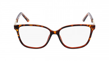 AFFORDABLE_PAM-O-GOLDTORTOISE-Front