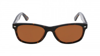 BROOKLYNHEIGHTS_FAIRWAY-S-TORTOISE-55-18-145-Front