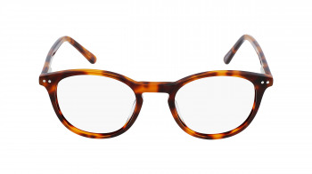 EIGHTTOEIGHTY_SAWYER-O-TORTOISE-47-21-140-Front