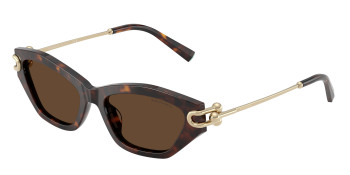 tiffany_0tf4231u_80153g_havana_ref