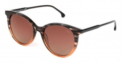 dutz_ds005_brown