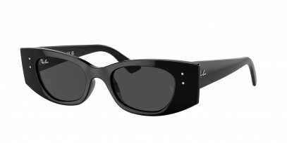 rayban_0rb4427_667787_black