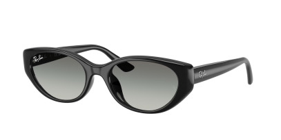 rayban_0rb4457d_667711_black