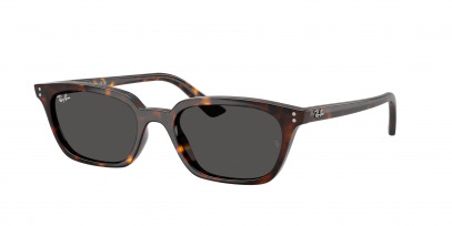 rayban_0rb4456f_135987_havana_ref