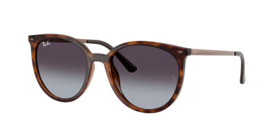 rayban_0rb4464l_63118g_havana_ref