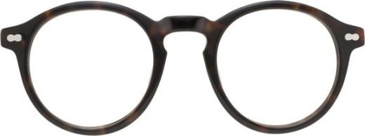 moscot_originals_miltzen_tortoise