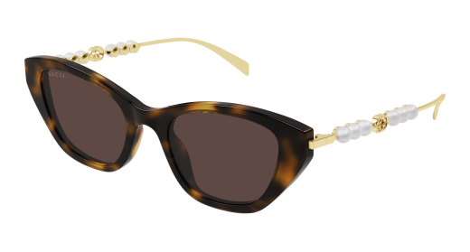 gucci_gg1968s_havana_003_ref
