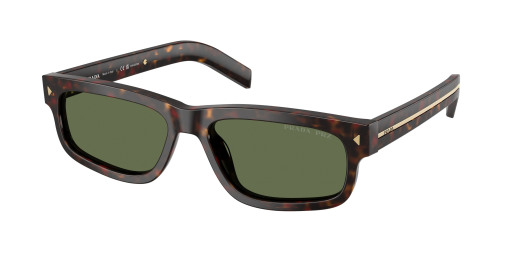 prada_0pr_b11s_17n20g_root_tortoise_polarized_ref