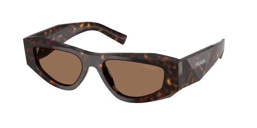 prada_0pr_b19sf_17n06b_root_tortoise_ref