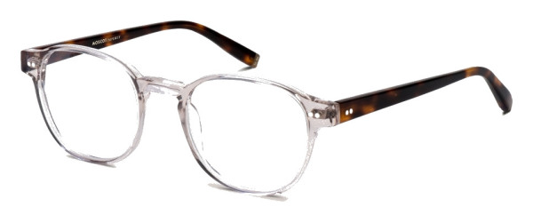 moscot_arthur_mist_tortoise