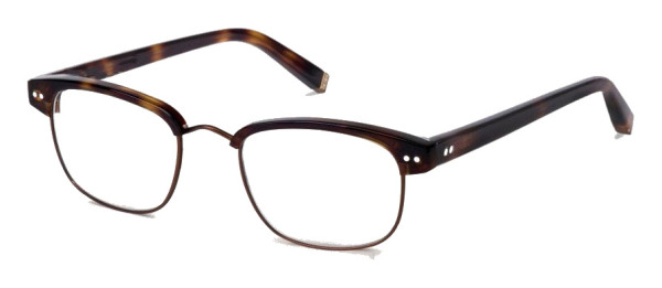 moscot_joel_tortoise