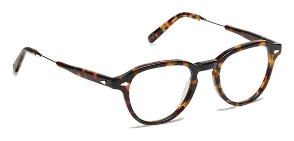 moscot_kash_tortoise_gold