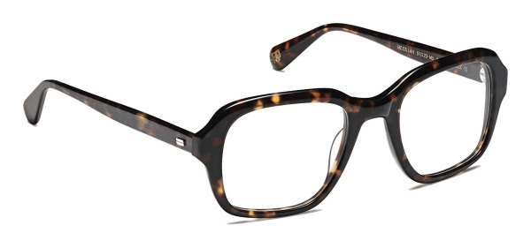 moscot_megillah_tortoise