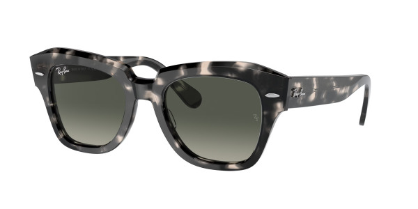 rayban_0rb2186_133371_grey_havana