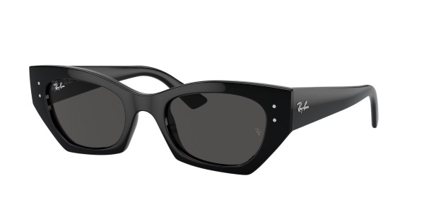 rayban_0rb4430_667787_black