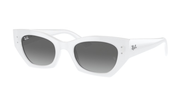 rayban_0rb4430_675911_white_snow