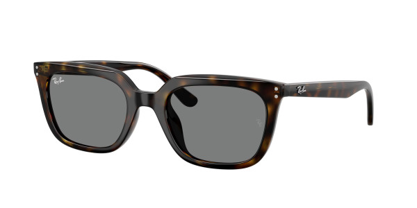 rayban_0rb4439d_710_87_havana