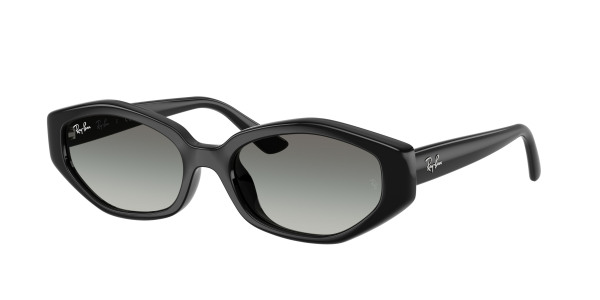 rayban_0rb4473d_667711_black