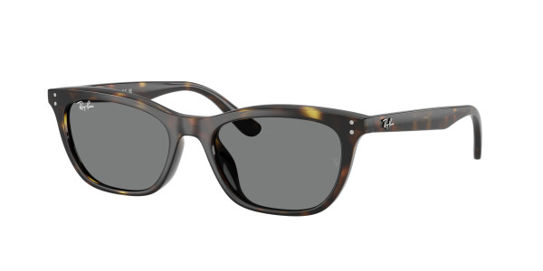 rayban_0rb4474d_710_87_havana