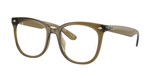 rayban_vista_0rx4379vd_8445_transparent_dark_green