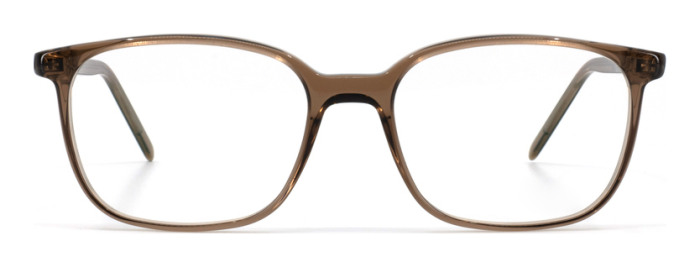 gotti_ray_transparent_dark_brown