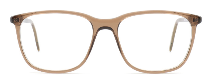gotti_samson_transparent_dark_brown