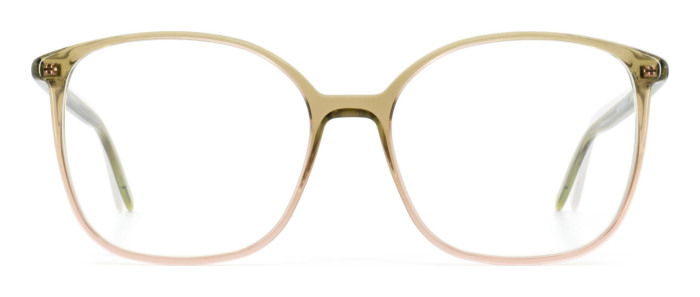 gotti_siha_olivemocca_gradient_clear