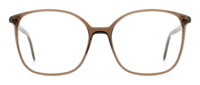 gotti_siha_transparent_dark_brown