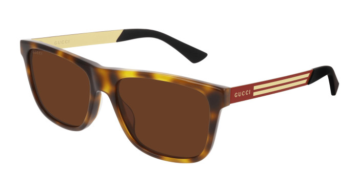 gucci_gg0687s_havana_004