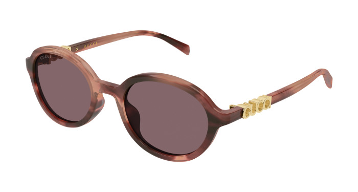 gucci_gg2033sa_havana_004