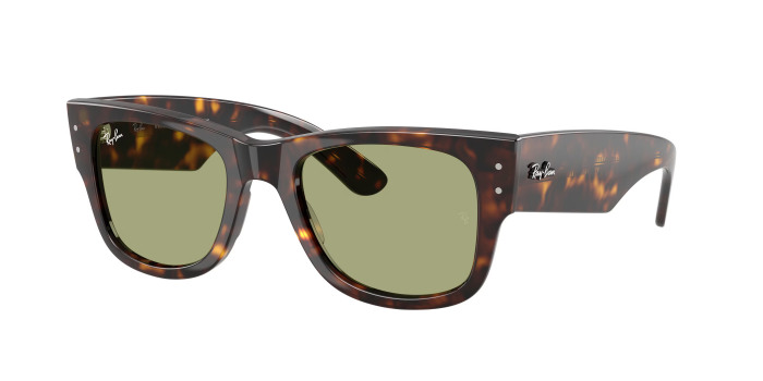 rayban_0rb0840s_902_4e_havana