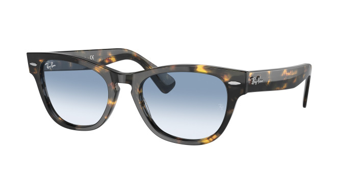 rayban_0rb2201_13323f_yellow_havana