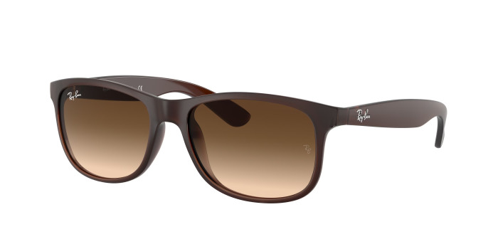 rayban_0rb4202_607313_brown