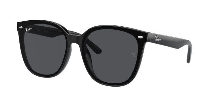 rayban_0rb4423d_601_87_black