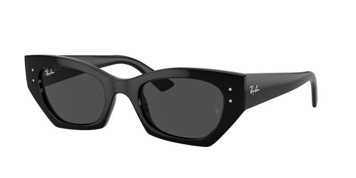 rayban_0rb4430_667787_black