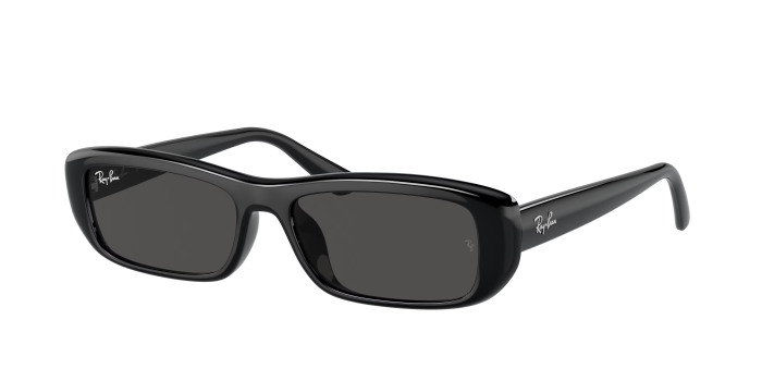 rayban_0rb4436d_667787_black