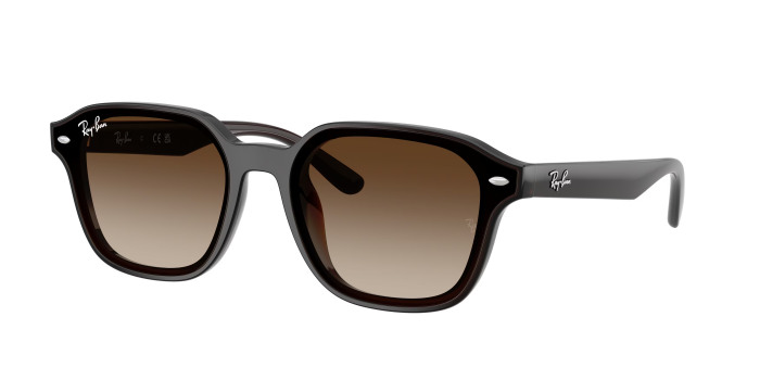 rayban_0rb4458d_714_13_transparent_dark_brown