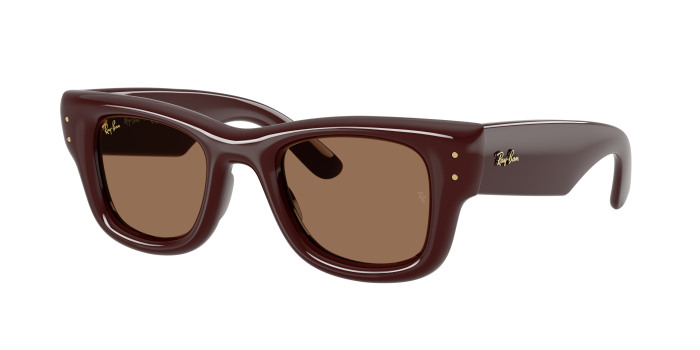 rayban_0rb4940_687773_dark_brown