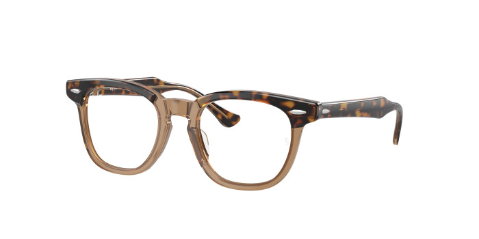 rayban_kids_0ry9098v_3958_havana_on_transparent