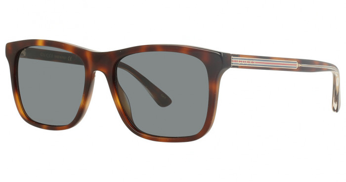 Gucci Sunglasses Men Gg0381sn Havana-havana-blue