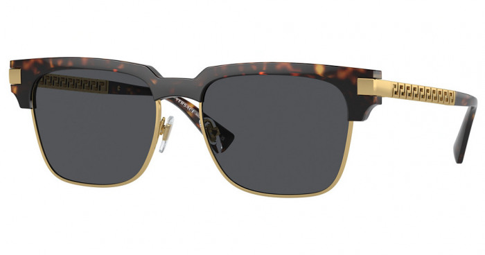 Versace Sunglasses Men VE4447 Havana