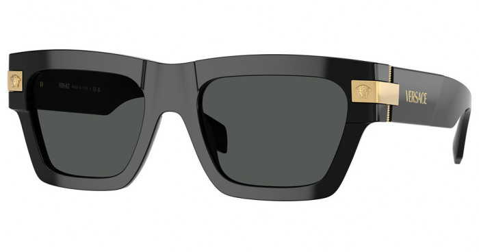 Versace Sunglasses Men VE4464 Black