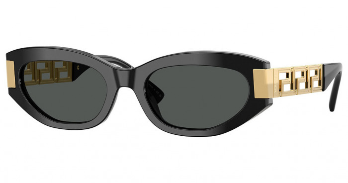 Versace Sunglasses Women VE4501 Black