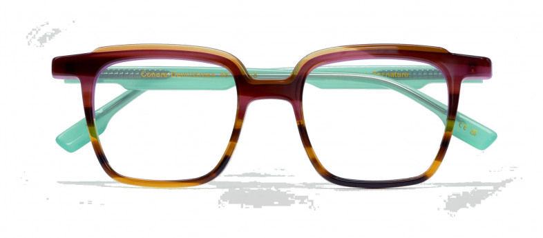 bird_conure_demi_green