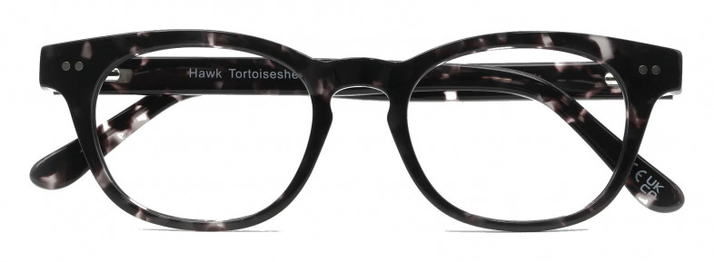 bird_hawk_tortoiseshell