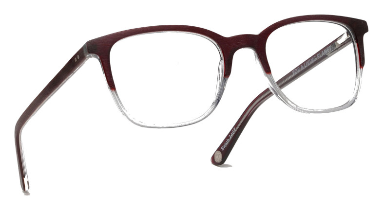 bird_kapoc_wwf_brown___grey