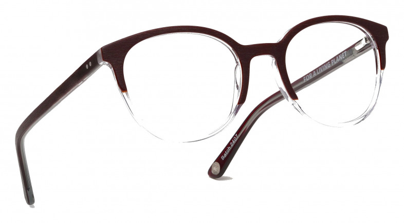 bird_sorva_wwf_brown___clear