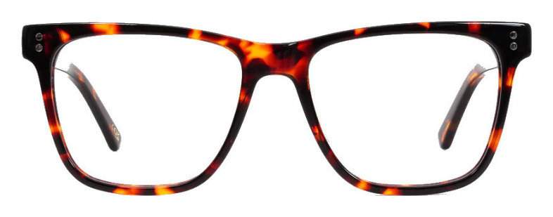 bird_strix_tortoiseshell