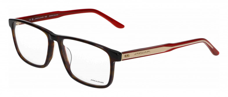jaguar_31032_brown