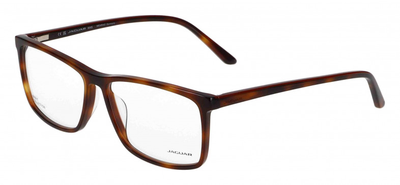 jaguar_31526_brown